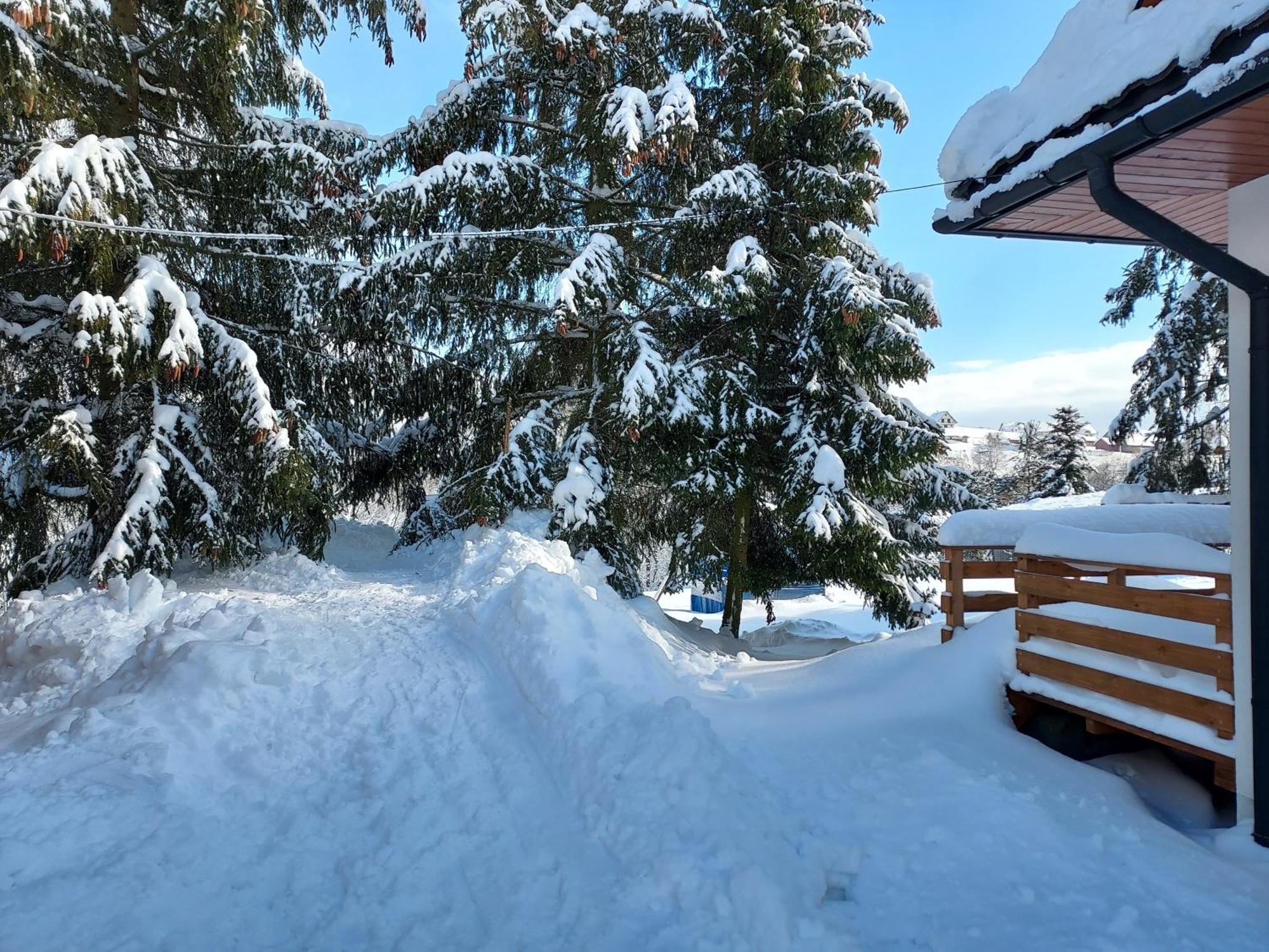 Noclegi Nad Czarna Orawa Podwilk Extérieur photo